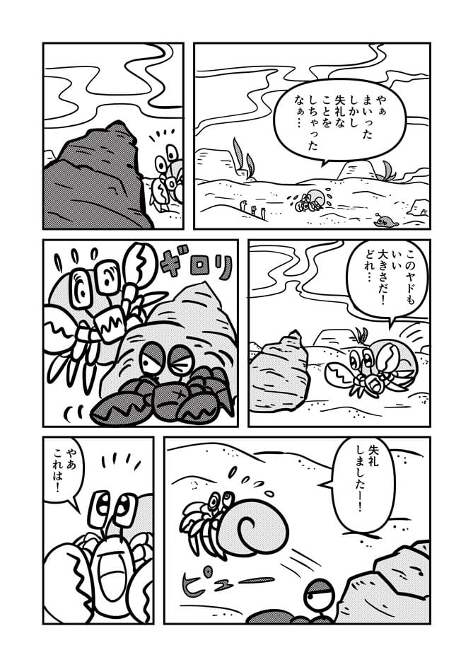 またちょうどよさそうな貝殻を見つけるが既に別のヤドカリがいてにらまれる