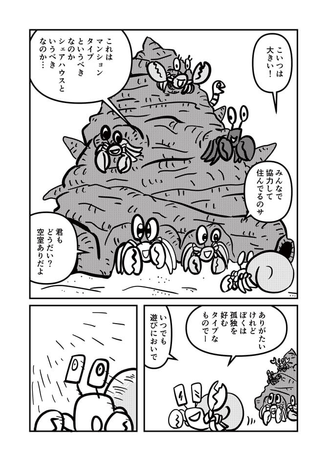 特大の貝殻には何匹ものヤドカリがすんでいてまるでマンションのようだと思うヤドカリであった